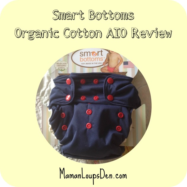 Smart Bottoms Organic Cotton AIO Review